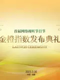 首届网络视听节目节 海报